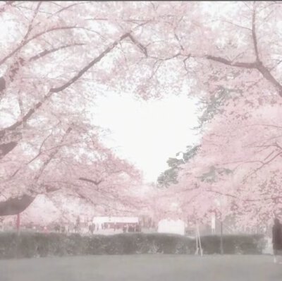 粉色系