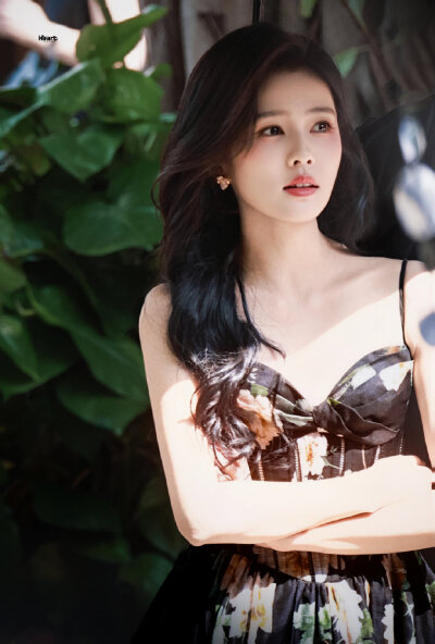 白鹿