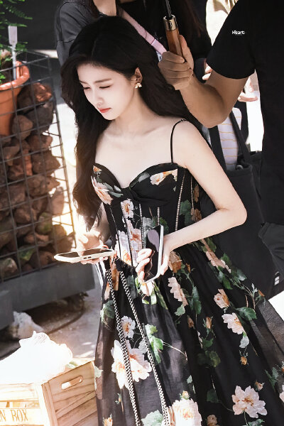 白鹿