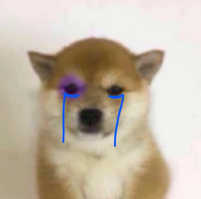 清相册