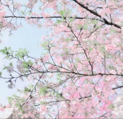 粉色系