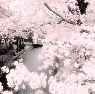 粉色系