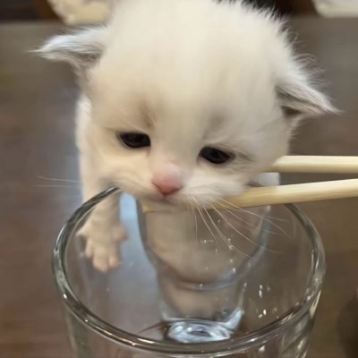 ～