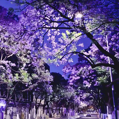 紫色系背景图