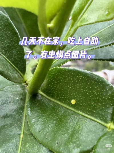 。