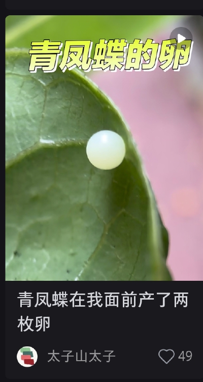 。