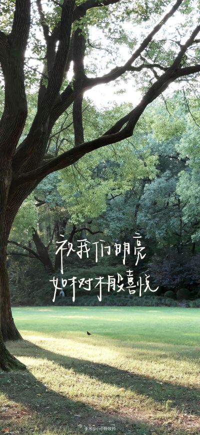 文字壁纸