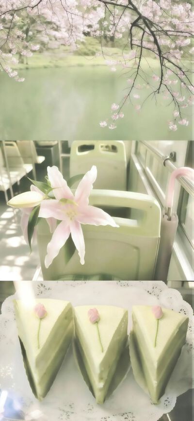 绿色壁纸