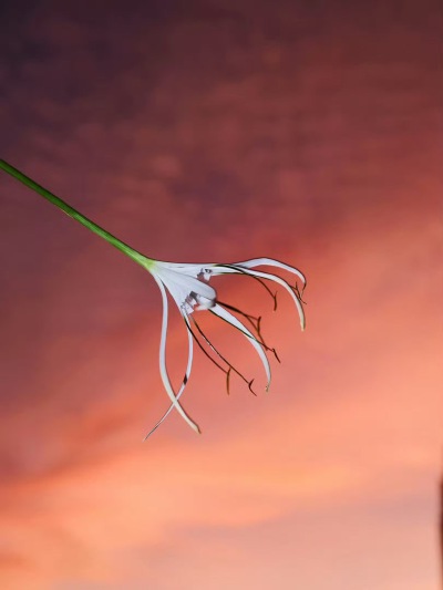 。