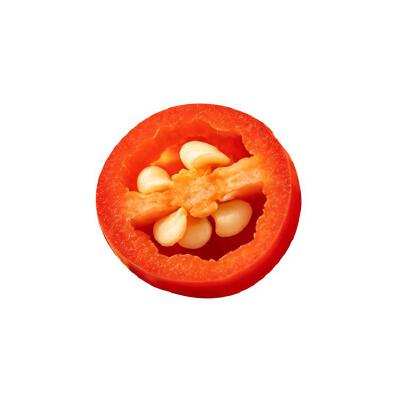 食物白底头像