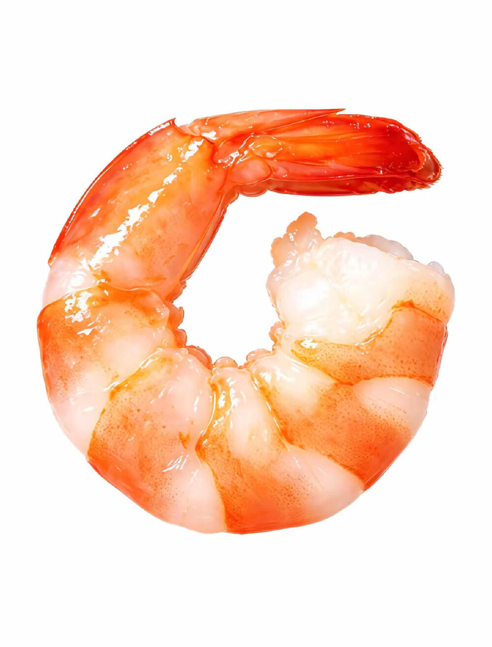 食物白底头像