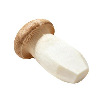 食物白底头像