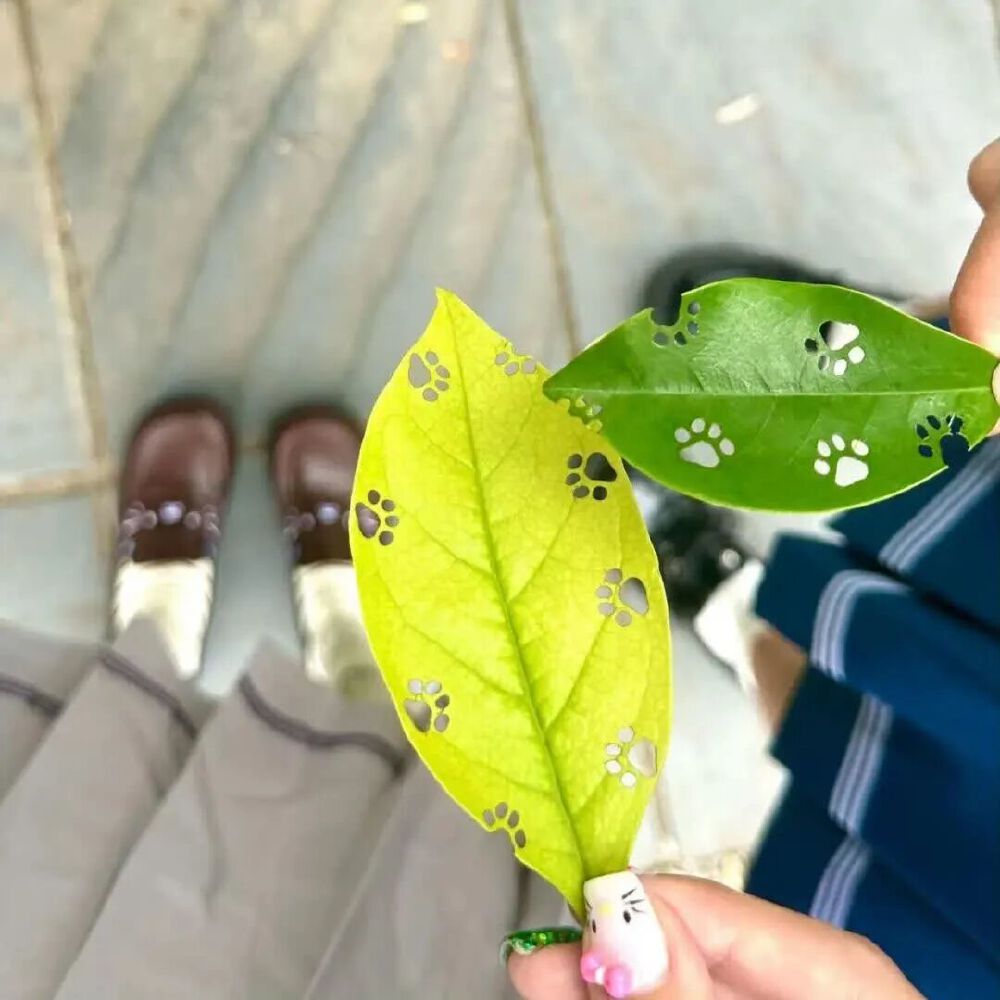 #قدرات خارقة