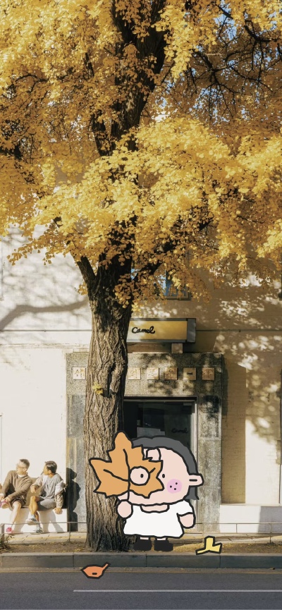 x壁纸