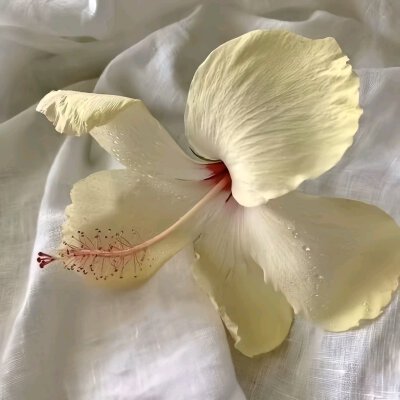 黄色系背景图