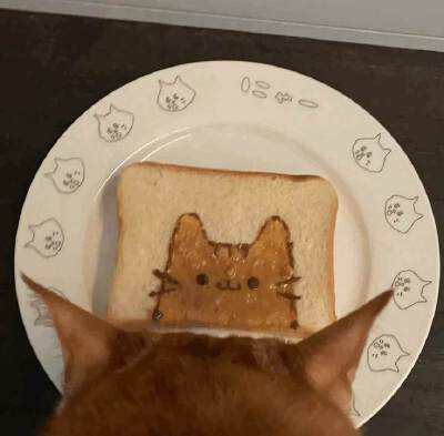 胖吉猫
