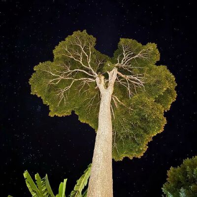 #قدرات خارقة