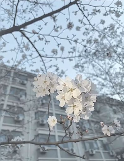 蓝色系背景图