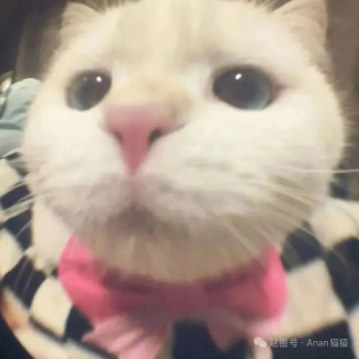 情头