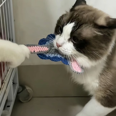 情头