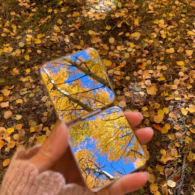 背景图