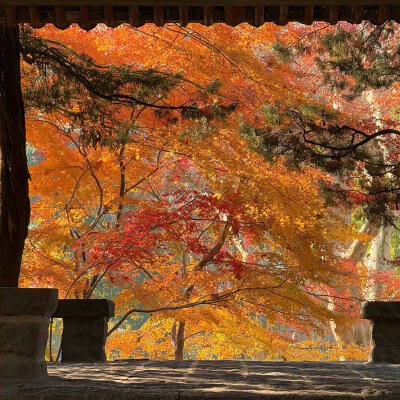 背景图