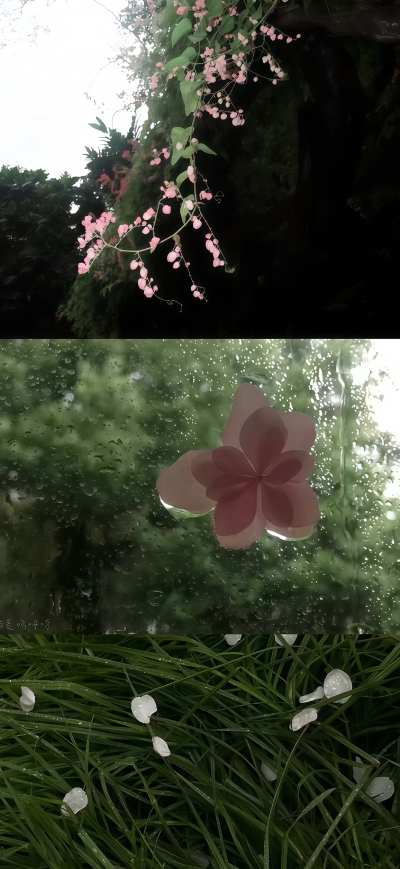 壁纸·图源微博
