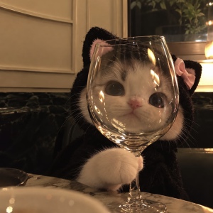 头像
