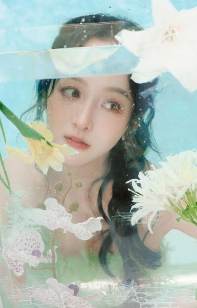 何泓姗