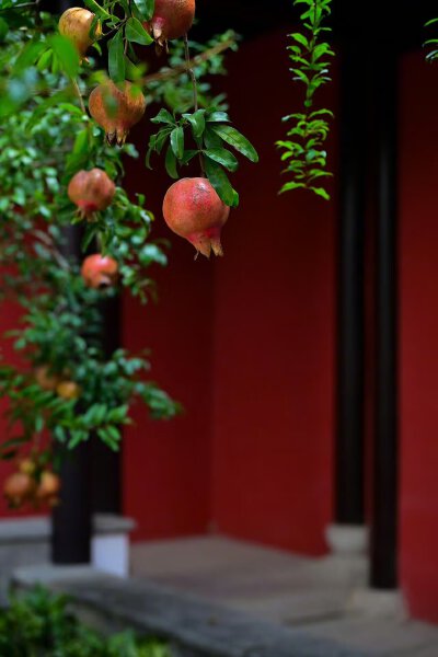 “身因春風生，心隨秋風落。” ​ ​​​