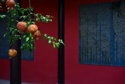“身因春風生，心隨秋風落。” ​ ​​​