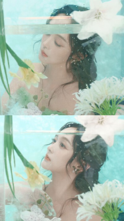 何泓姗