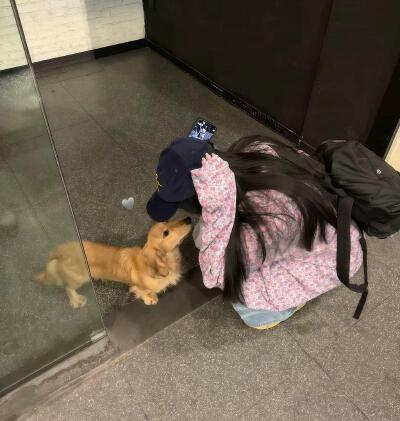 美少女