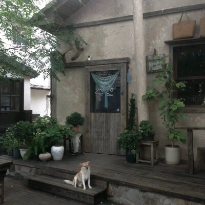 背景图