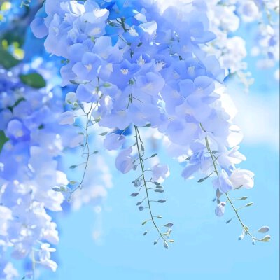 背景图