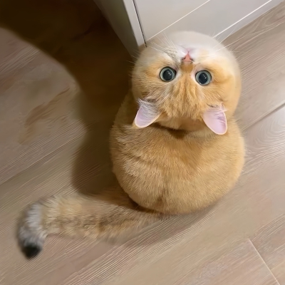 ～
