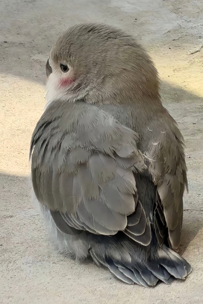 ～