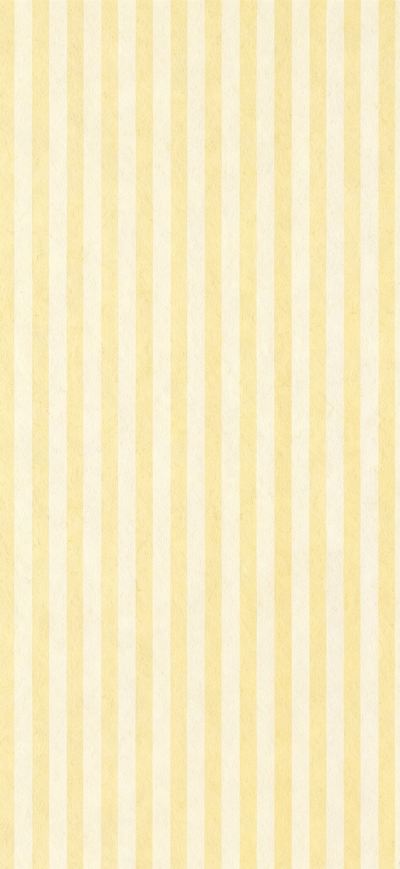 壁纸