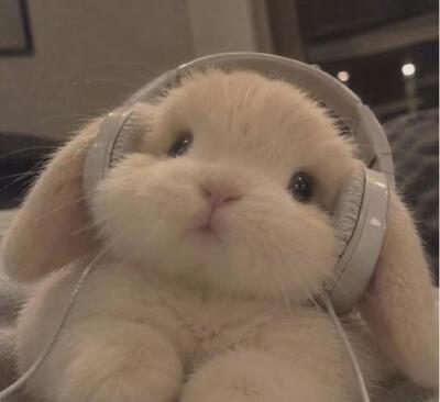 。