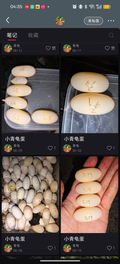 。