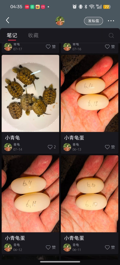 。
