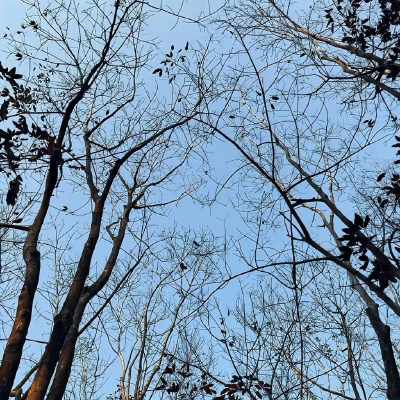 背景图