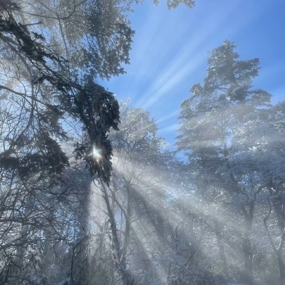 背景图