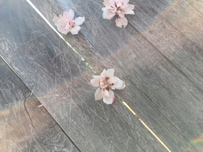 审美积累