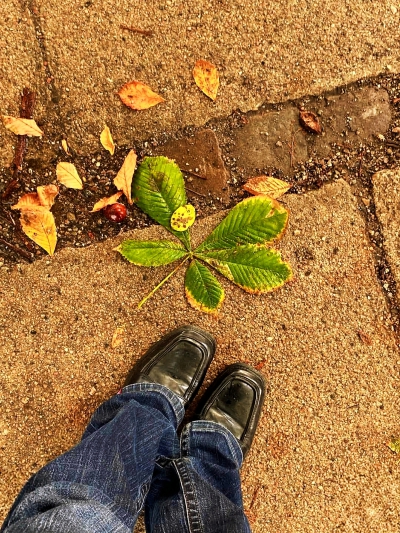 日常
踩在用水面做成的镜子上