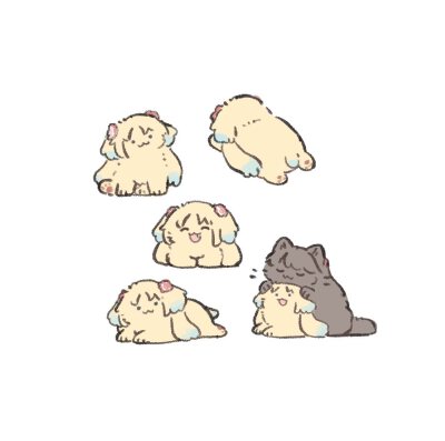 莲