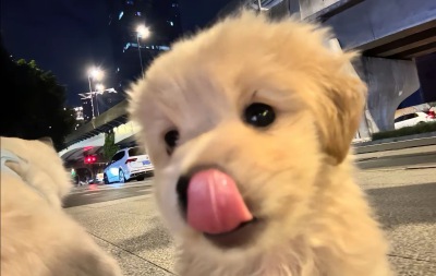 ～