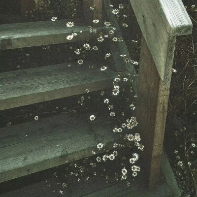 绿色系