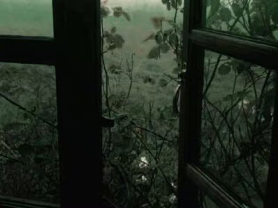 绿色系