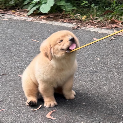 ～